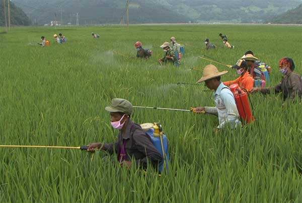 固體廢物 有機(jī)磷類和擬除蟲菊酯類等 47 種農(nóng)藥的測定 氣相色譜-質(zhì)譜法