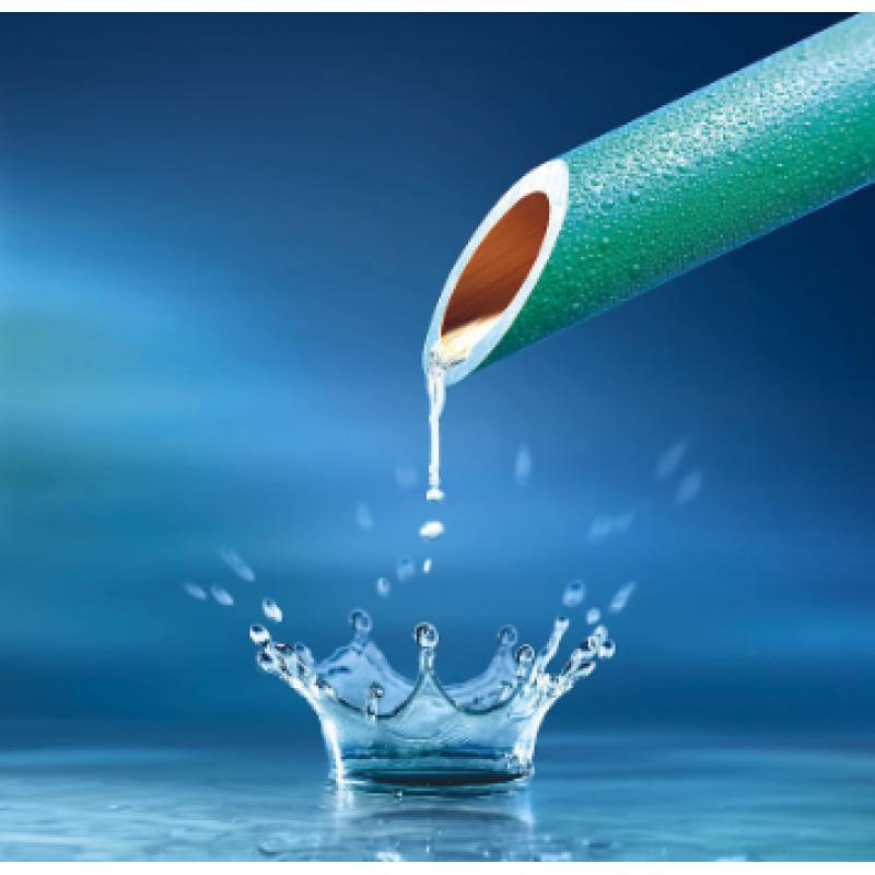 水質(zhì) 氯酸鹽、亞氯酸鹽、溴酸鹽、二氯乙酸和三氯乙酸的測定 離子色譜法