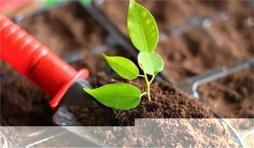 土壤和沉積物 11 種三嗪類(lèi)農(nóng)藥的測(cè)定 高效液相色譜法