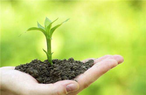 土壤和沉積物 8 種酰胺類(lèi)農(nóng)藥的測(cè)定 氣相色譜-質(zhì)譜法